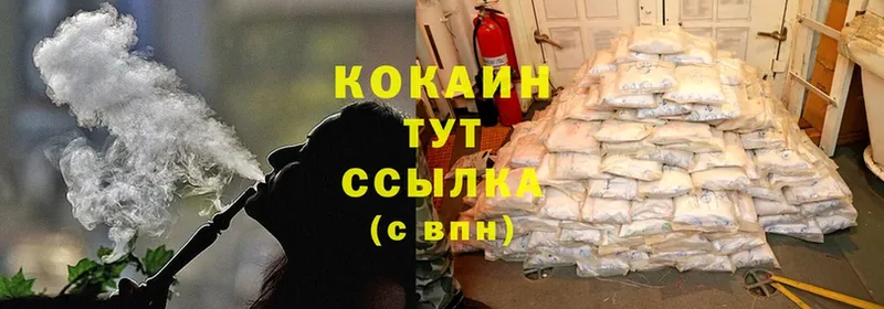 COCAIN Fish Scale  кракен рабочий сайт  Николаевск-на-Амуре 