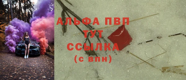 PSILOCYBIN Няндома