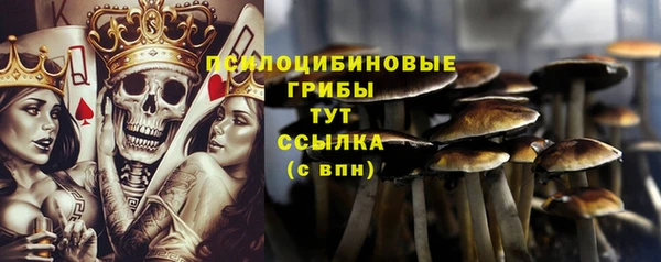 винт Новозыбков
