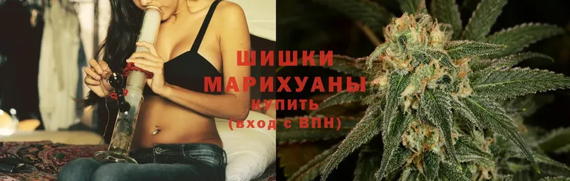 как найти наркотики  Николаевск-на-Амуре  Бошки Шишки Ganja 